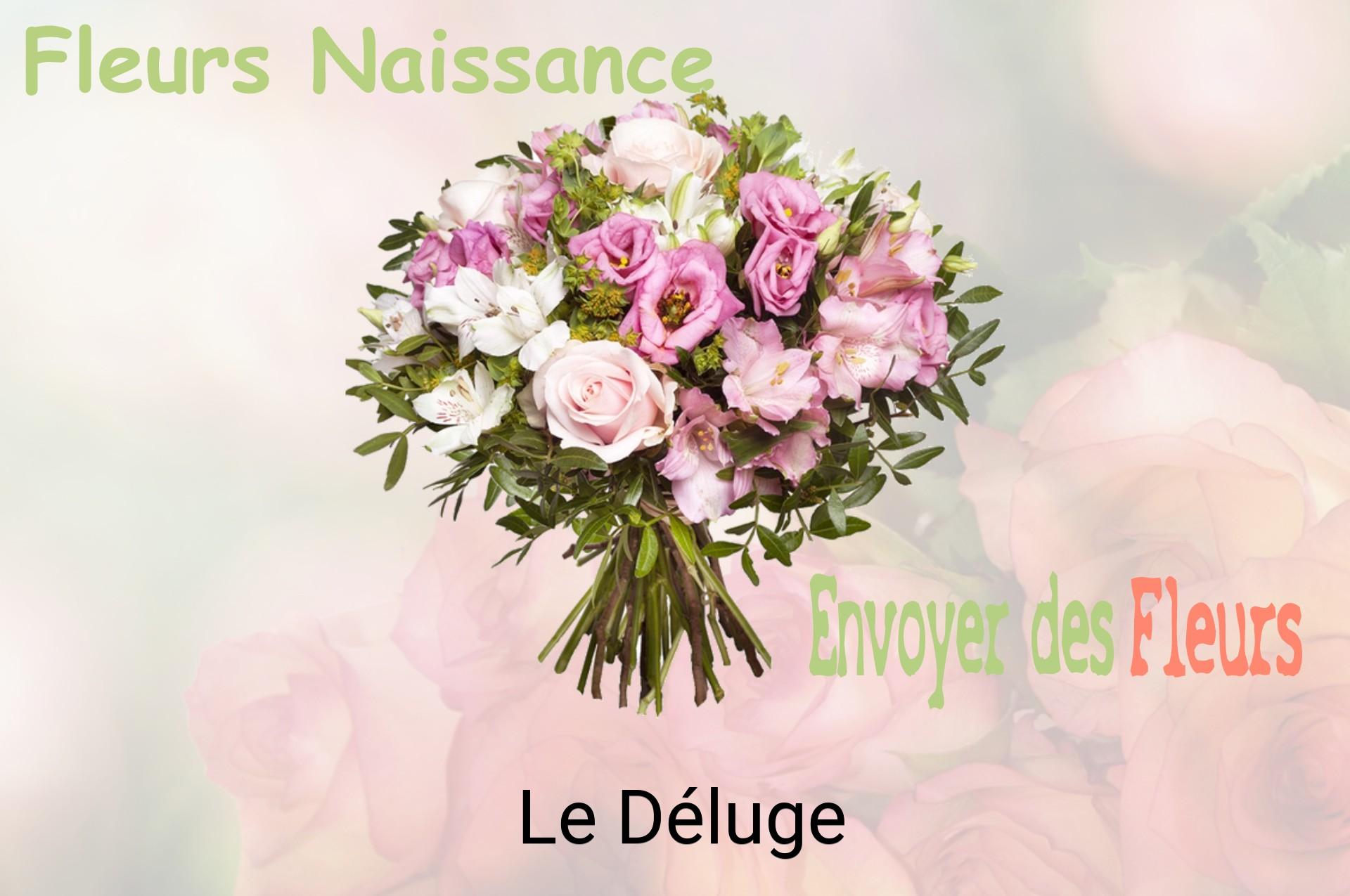 Bouquet de fleurs de naissance livré à Le Déluge